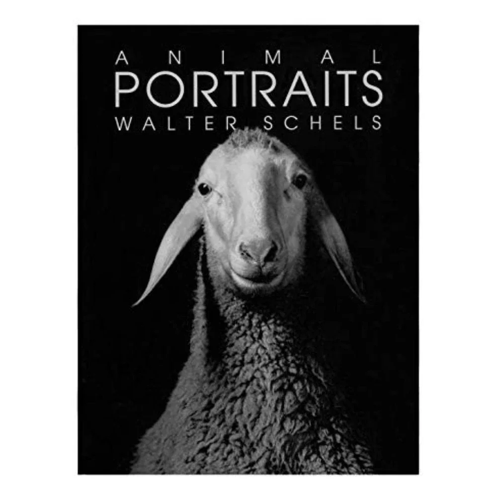 Animal Portraits by Walter Schels (2001 HCDJ) EDITION STEMMLE